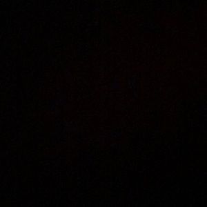 Meet your Posher, Rae